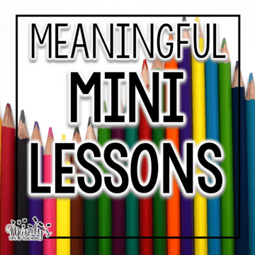 Making the Mini Lesson Meaningful